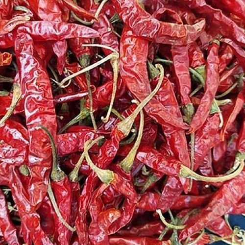 Teja Dried Red Chilli