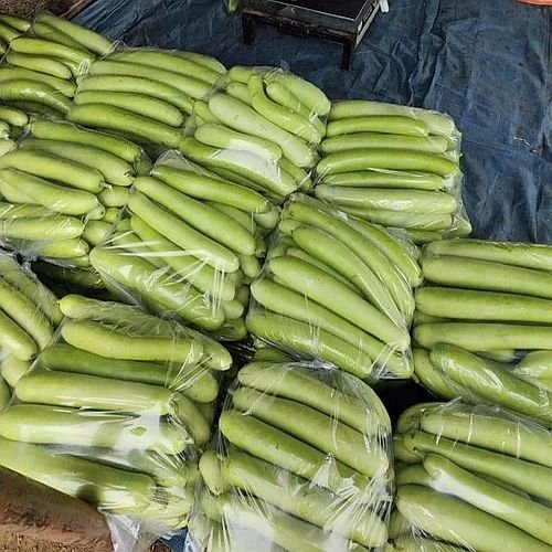 Fresh Bottle Gourd