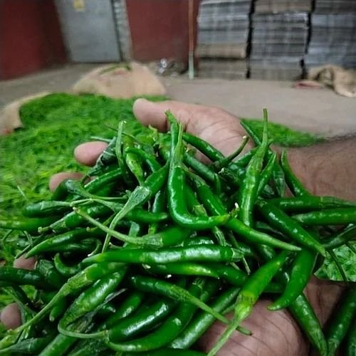 Fresh Green Chilli