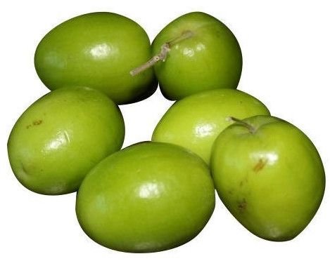 Fresh Jujube Fruit