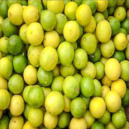 Fresh Lemon