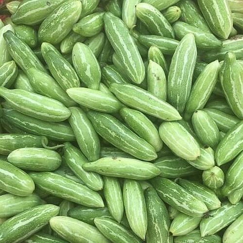 Fresh Parwal