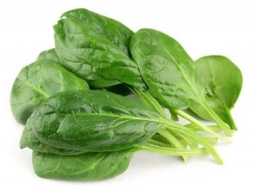 Fresh Malabar Spinach