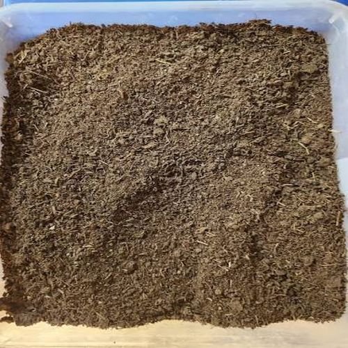 Cow Dung Manure