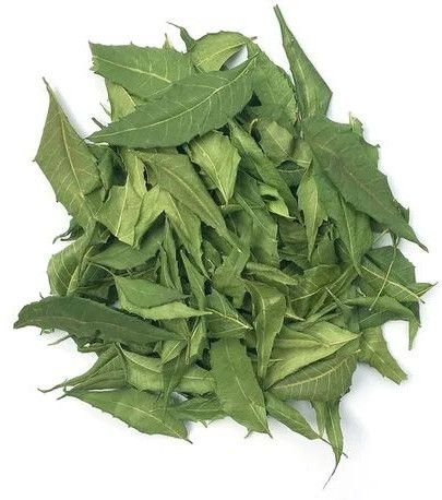 Dried Neem Leaves