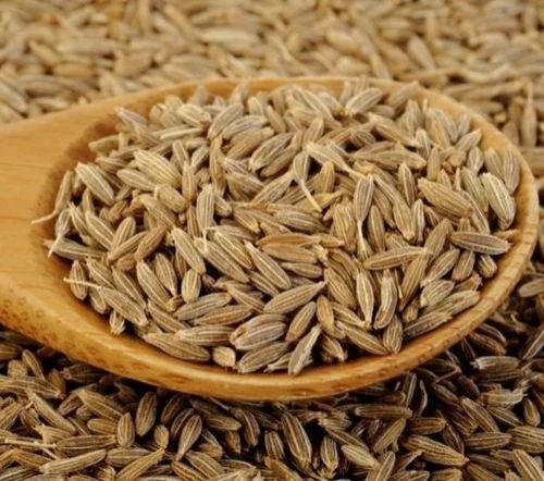 Sortex Clean Cumin Seeds