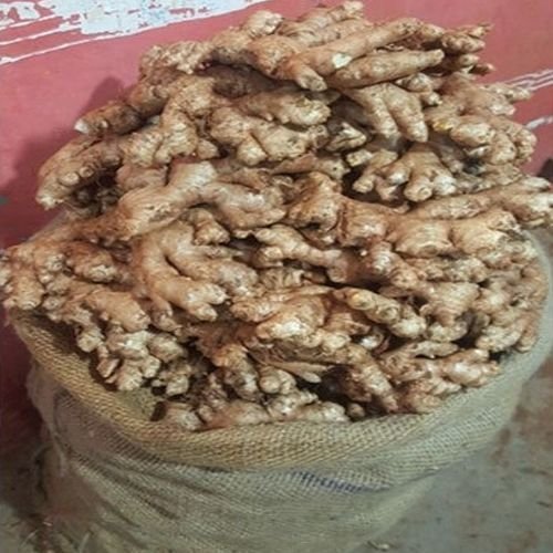 Farm Fresh Ginger
