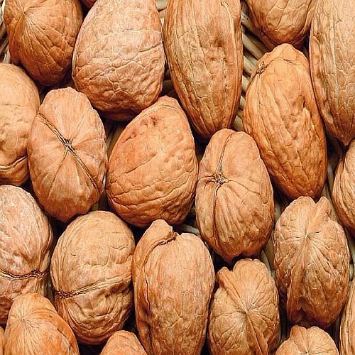 Whole Dry Walnut