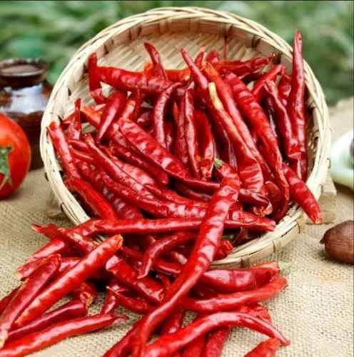 Teja S17 Dry Red Chilli