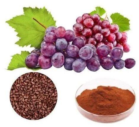 Grape Seed Extract