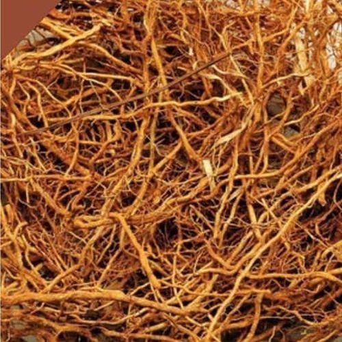 Camel Grass