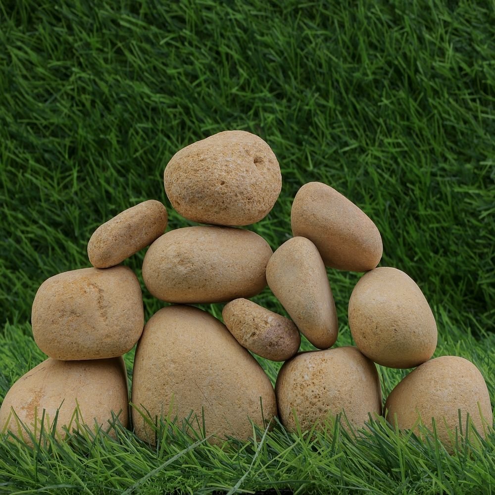 Divine Gold Dry Garden Pebbles