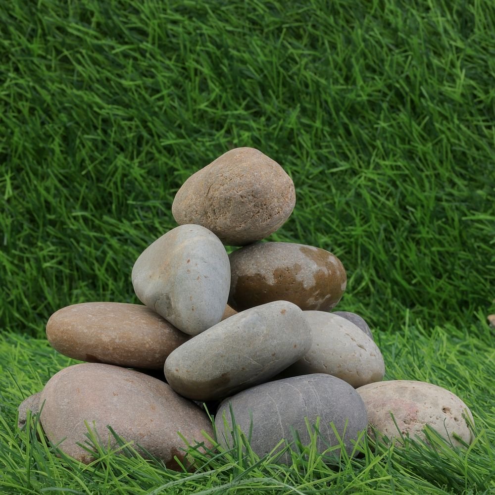 Multi Color Dry Beach Pebbles