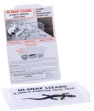 Hi Snap Lizard Trap