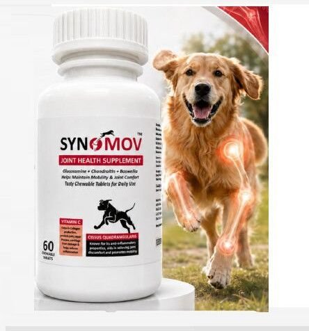 Synomov Joint Health Supplement