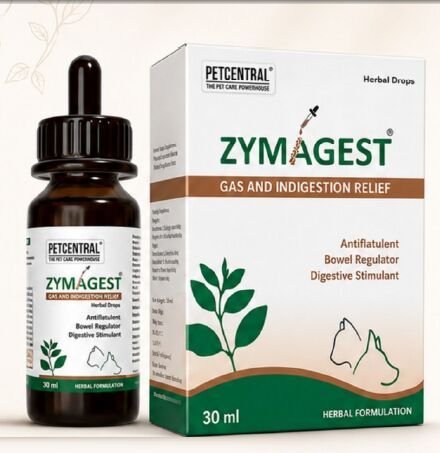 Zymagest Digestive Enzyme Drops