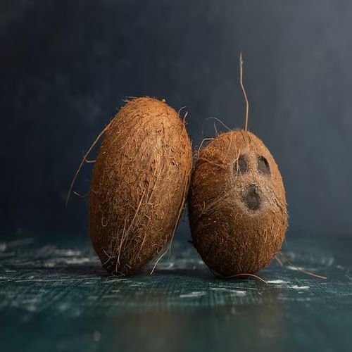Brown Semi Husk Coconut