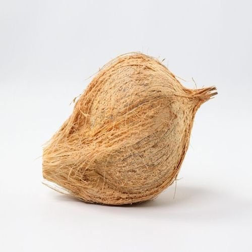 Fresh Harvest Semi Husk Coconut