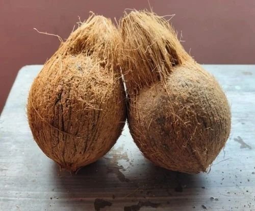 Mature Brown Husked Coconut