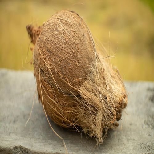 Round Husked Coconut