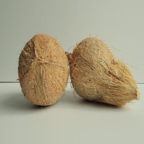 White Kernel Husked Coconut