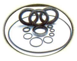 Oil Seal O-Rings