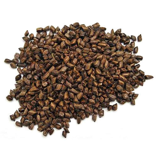 Cassia Tora Seeds