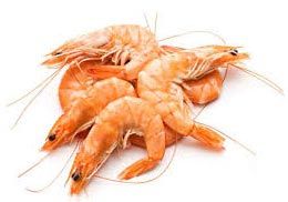 Fresh Prawns Fish