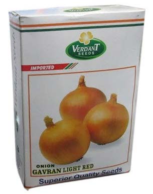 Gavran Light Red Onion Seeds