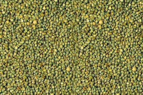 Millet Seed 02