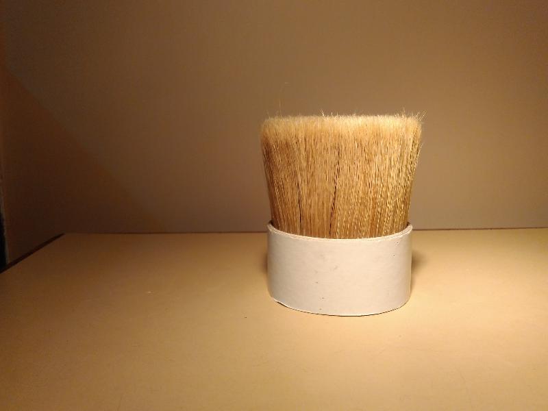 Chinese Bristle 04