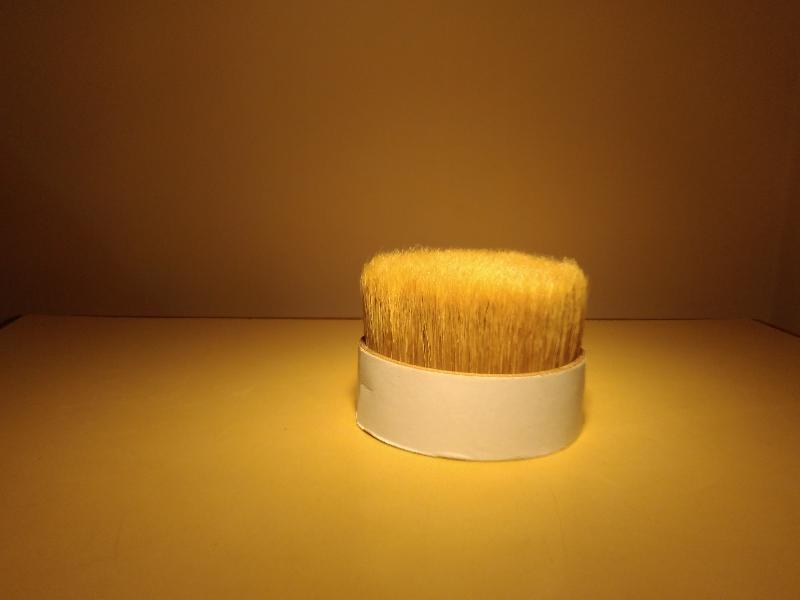 Chinese Bristle 08