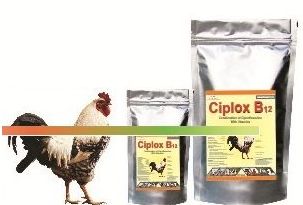 Ciplox B12 Poultry Feed Supplement