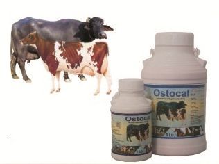 Ostocal Poultry Feed Supplement