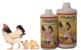 Vitaforte Poultry Feed Supplement
