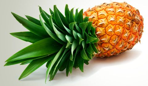 Fresh Pineapple 02