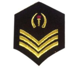 Chevrons Badges