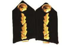 Uniform Gorgets