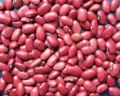 Image result for image of a red kidney bean