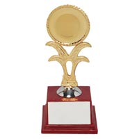 Sports Trophy 14