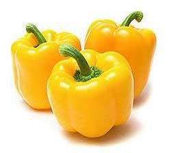 Yellow Capsicum