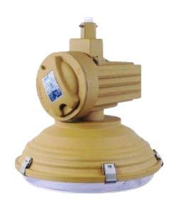 Explosion Proof Induction Light 01
