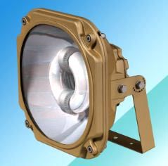 Explosion Proof Induction Light 02