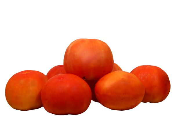 Fresh Tomato 01