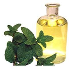 Mentha Oil Arvensis Rectified