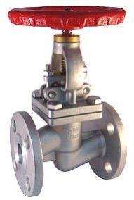 Globe Valve