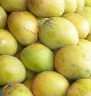 Fresh Zardalu Mango
