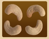 Cashew Nut 04