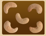 Cashew Nut 06