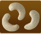 Cashew Nut 08